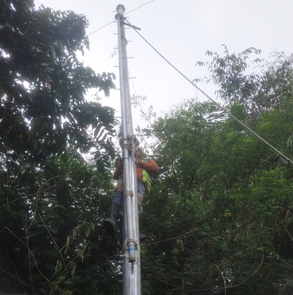 81c2116f df5b 4fff a923 e36dbdea9b1c - ITG Indonesia